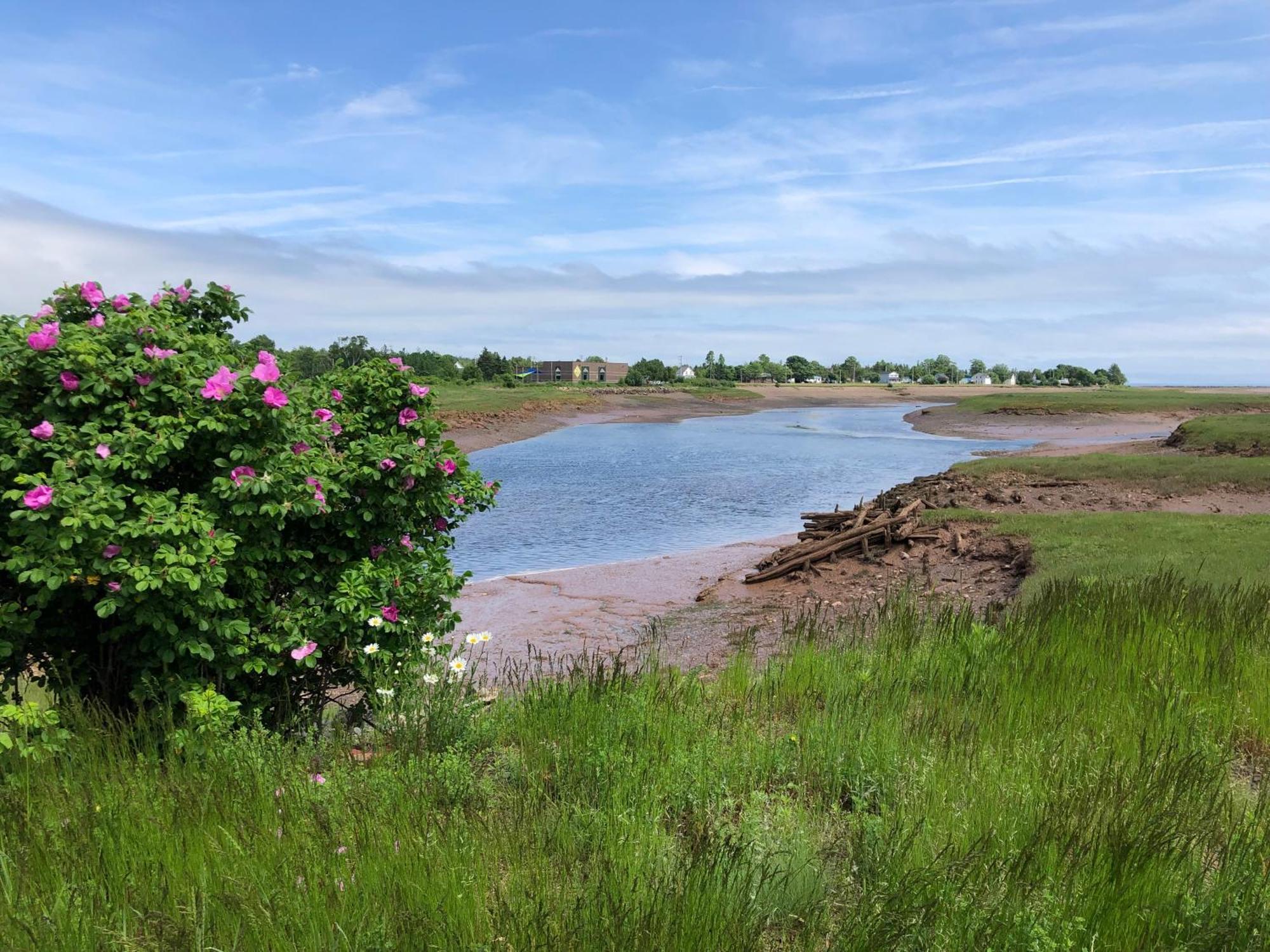 Parrsboro Pleasant Street Inn المظهر الخارجي الصورة